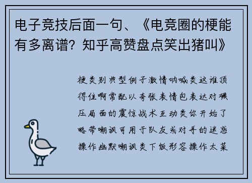 电子竞技后面一句、《电竞圈的梗能有多离谱？知乎高赞盘点笑出猪叫》